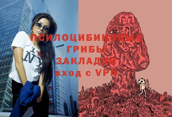 спиды Касимов