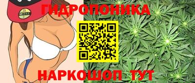 прущие крисы Севастополь